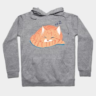 Sleepy kitty Hoodie